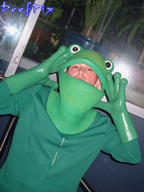Proggy Froggy Progy_Froggy_07.jpg (74401 k